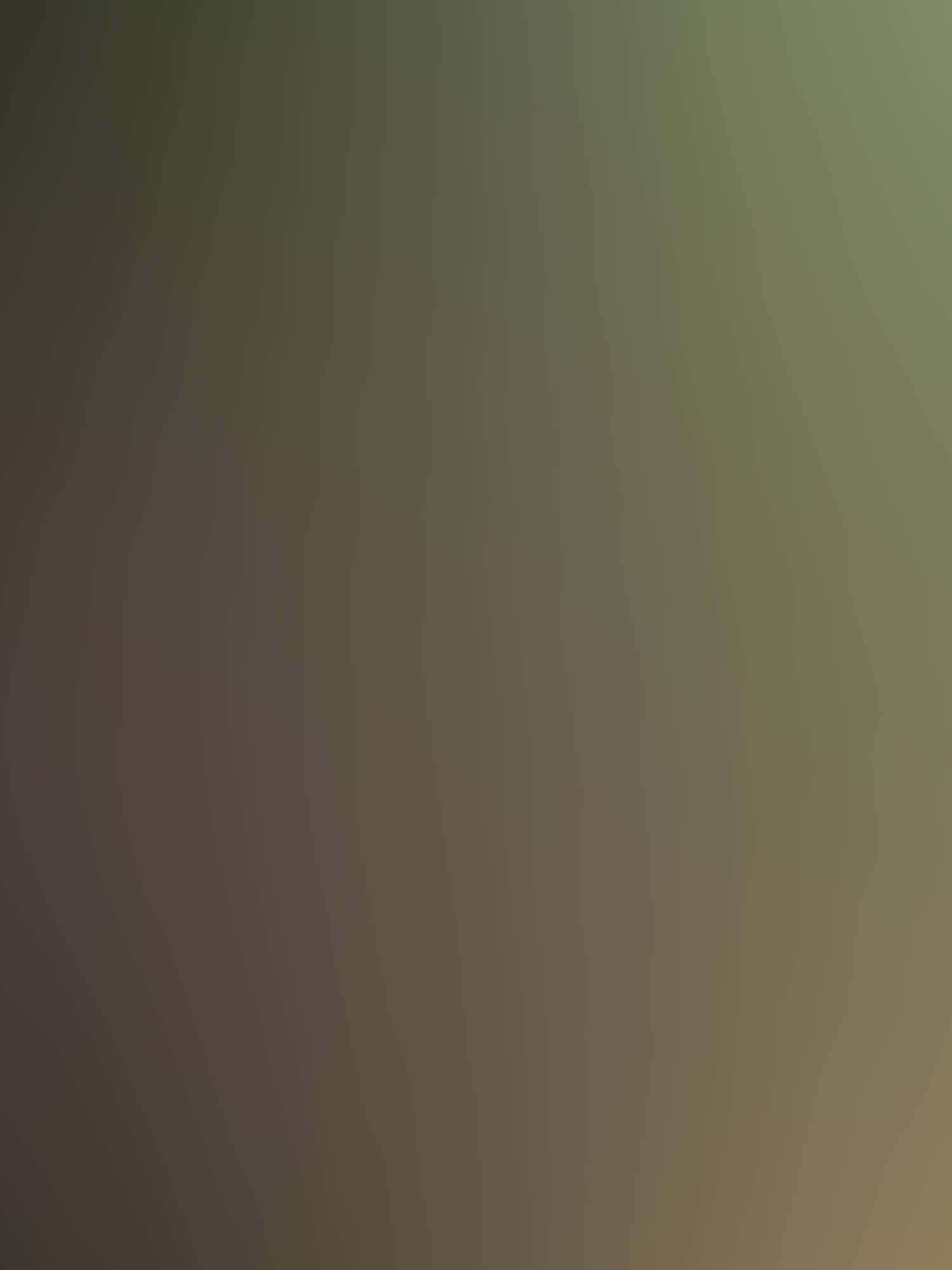 Berry 03